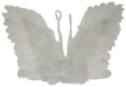Overig Engelenvleugels Wit Met Veren Kind