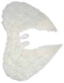 Overig Engelenvleugels Wit Met Veren Volwassen