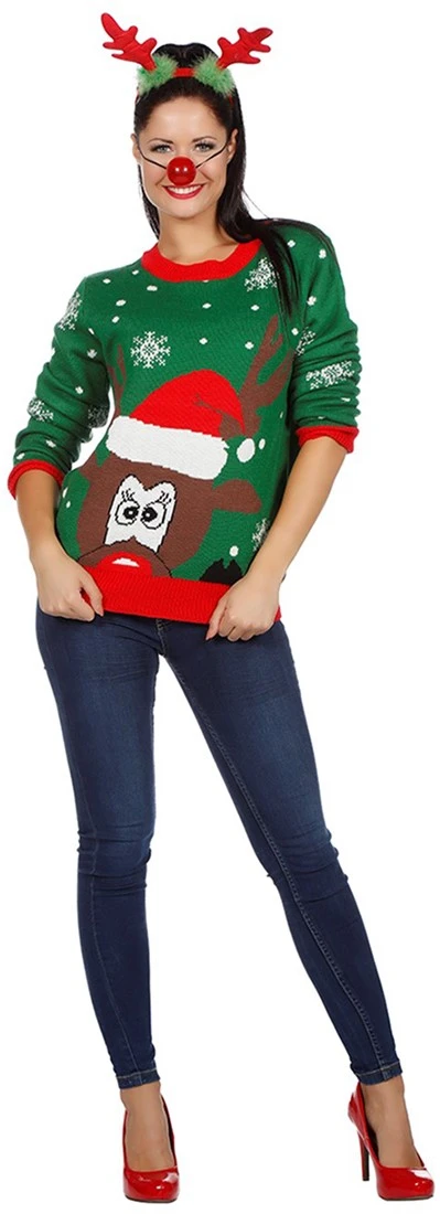 Overig Kersttrui Groen Met Hoofd Rudolf - Afbeelding 4