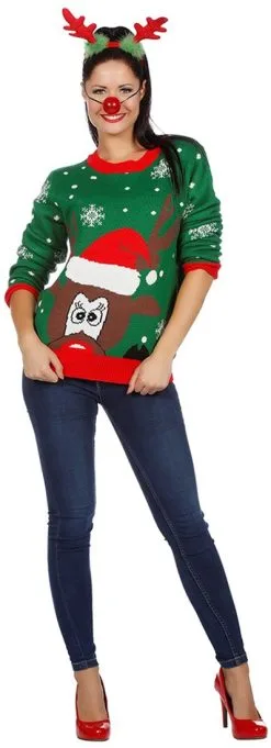 Overig Kersttrui Groen Met Hoofd Rudolf