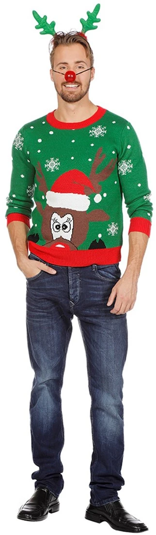 Overig Kersttrui Groen Met Hoofd Rudolf - Afbeelding 5